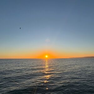 Meet your Posher, Za